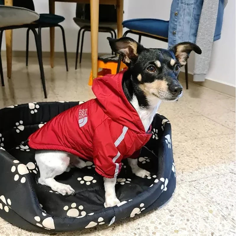 Reflective Waterproof Pet Coat for Small to Medium Dogs - Winter Fleece Jacket and Raincoat for Chihuahuas and Puppies