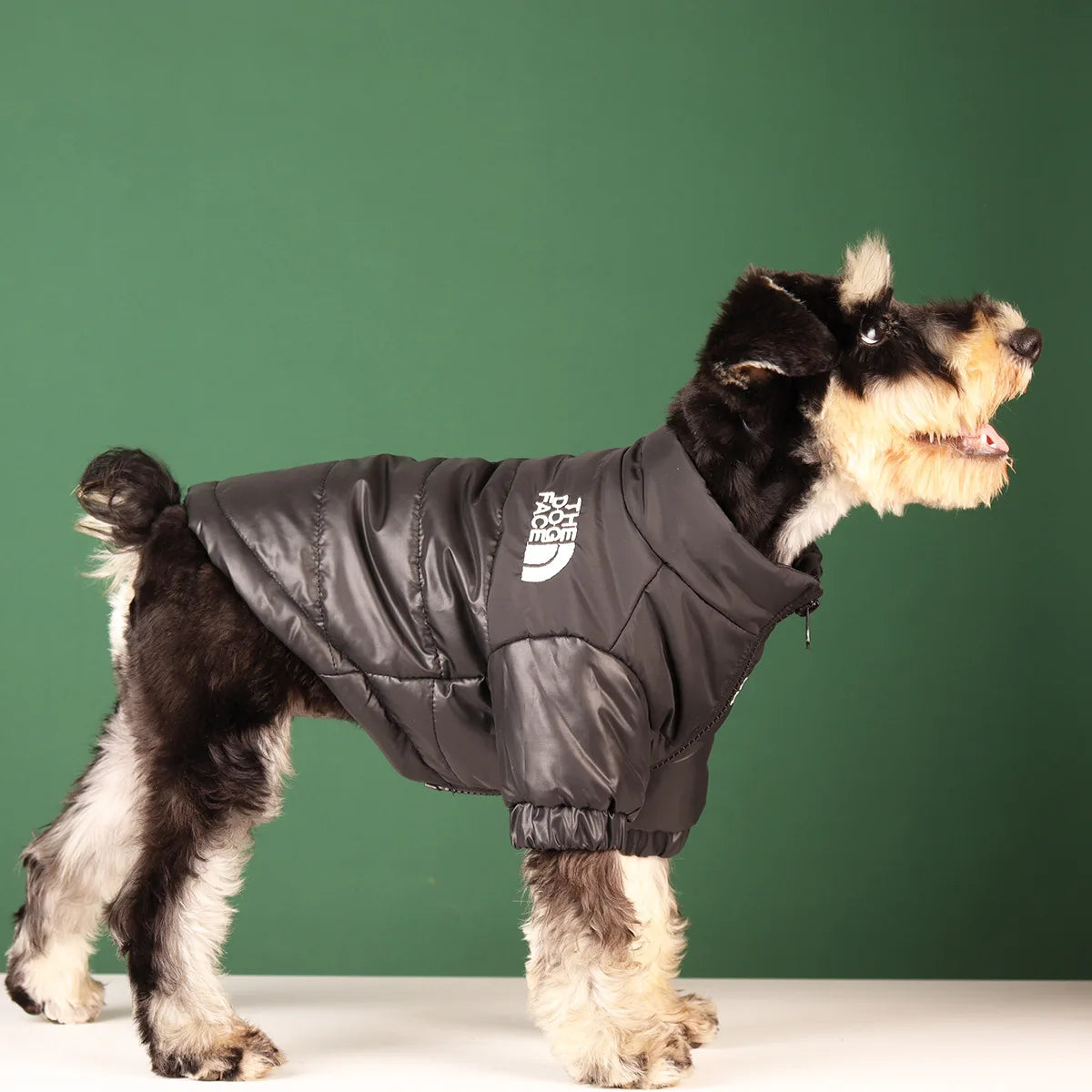 Premium Winter Jacket for Small to Medium Dogs - Windproof and Reflective Coat for French Bulldogs and Chihuahuas