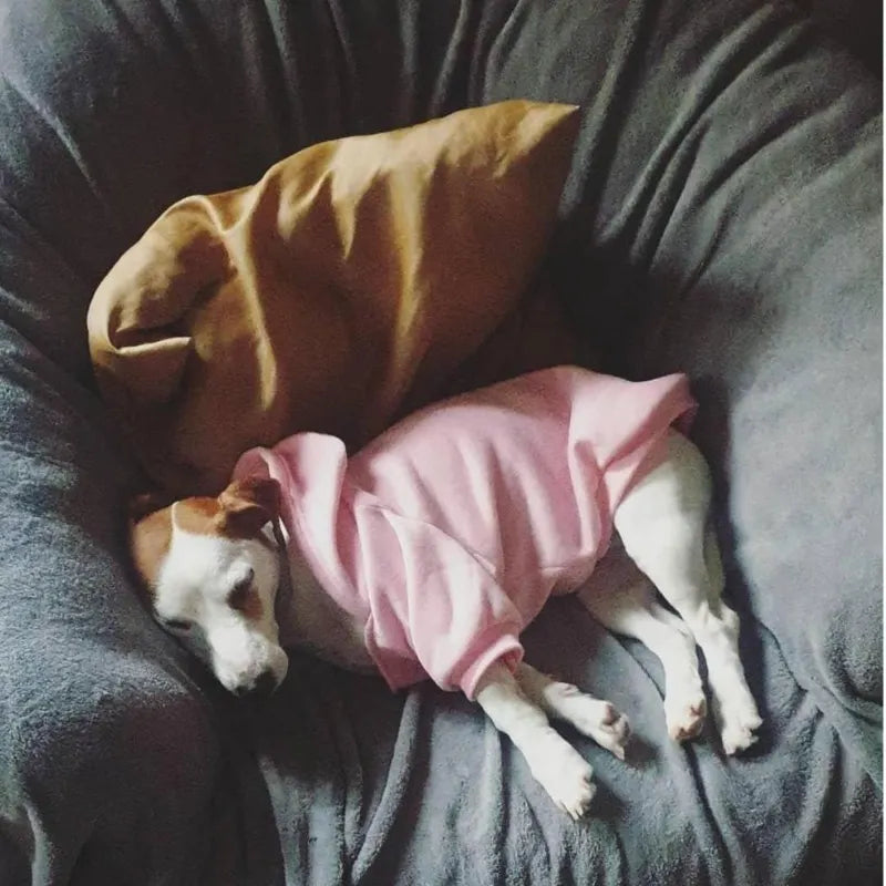 Dog Clothes Hoodies the Dog Face Wind Coat Warm for Small Large Dogs Jacket Sweatshirt French Bulldog Jacket Clothing