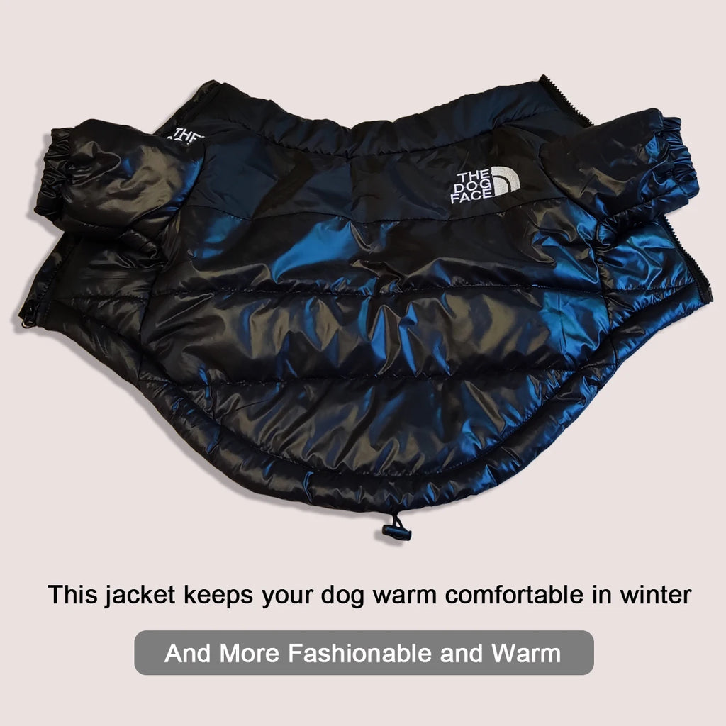Premium Winter Jacket for Small to Medium Dogs - Windproof and Reflective Coat for French Bulldogs and Chihuahuas