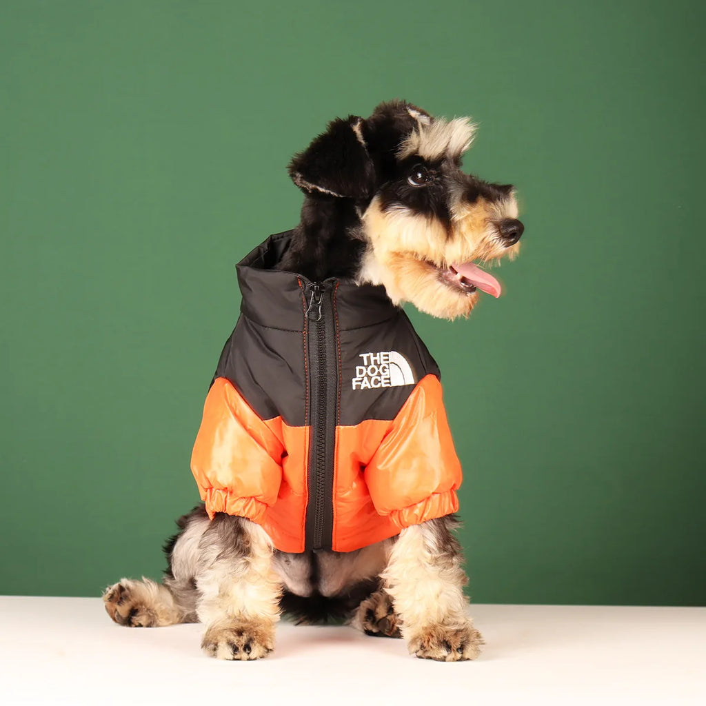 Premium Winter Jacket for Small to Medium Dogs - Windproof and Reflective Coat for French Bulldogs and Chihuahuas